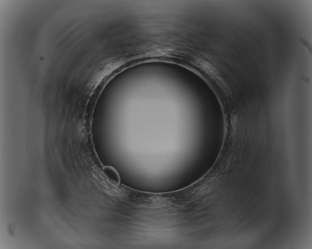 X0000102031308200807181340