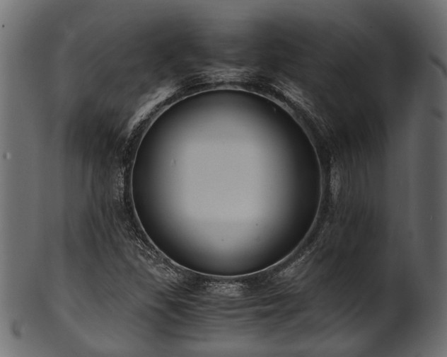 X0000102031309200807181340