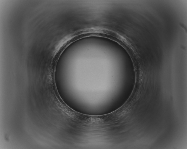 X0000102031312200807181340