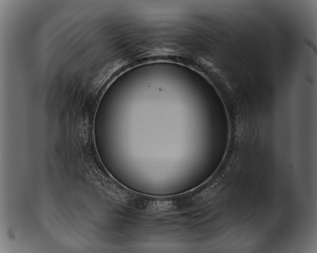 X0000102031313200807181340