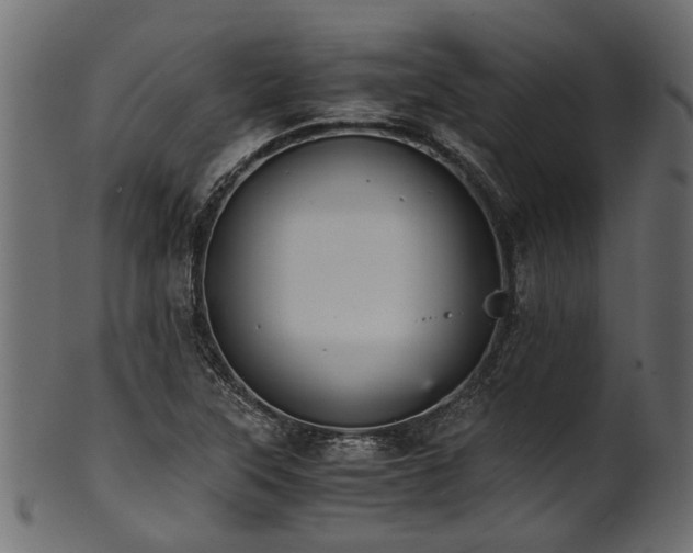 X0000102031315200807181340