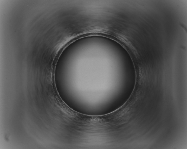 X0000102031316200807181340