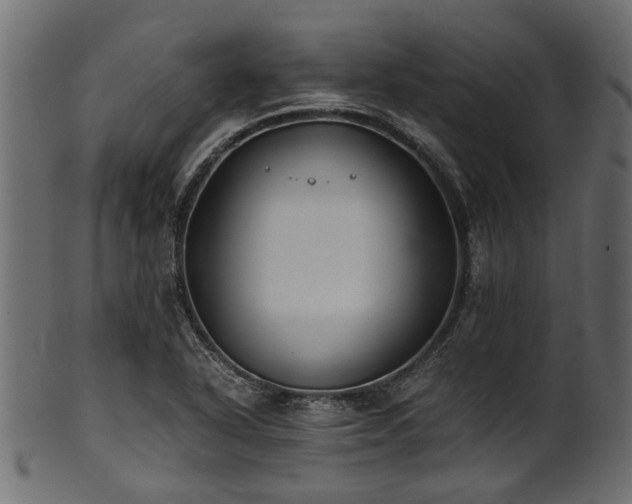 X0000102031318200807181340