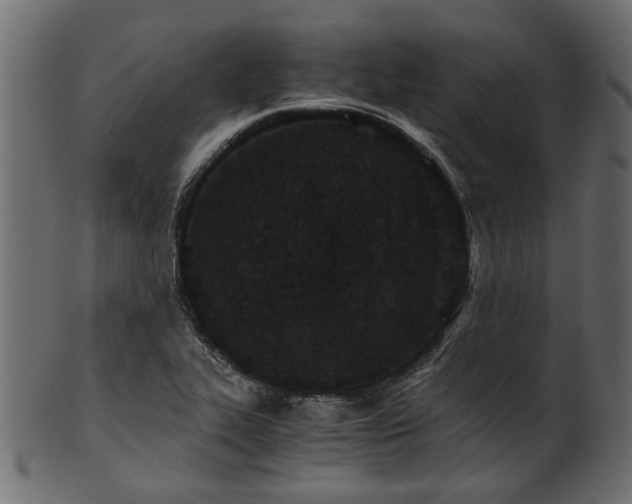 X0000102031319200807181340