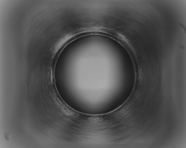 X0000102031320200807181340