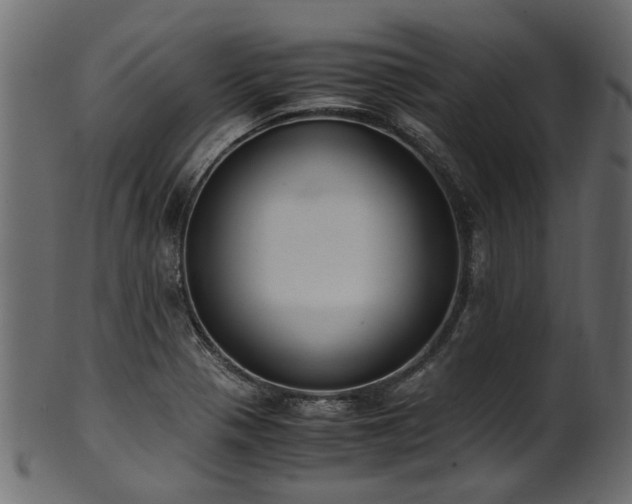 X0000102031321200807181340