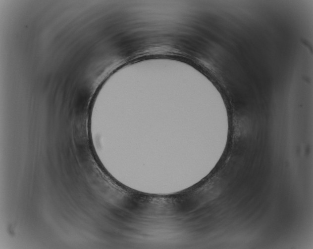 X0000102031322200807181340