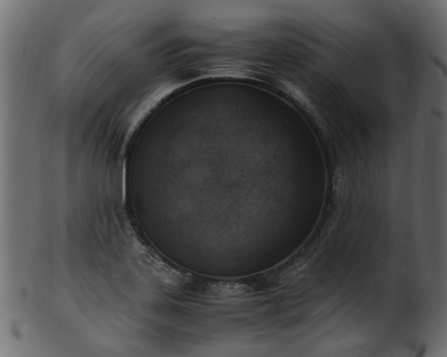 X0000102031323200807181340