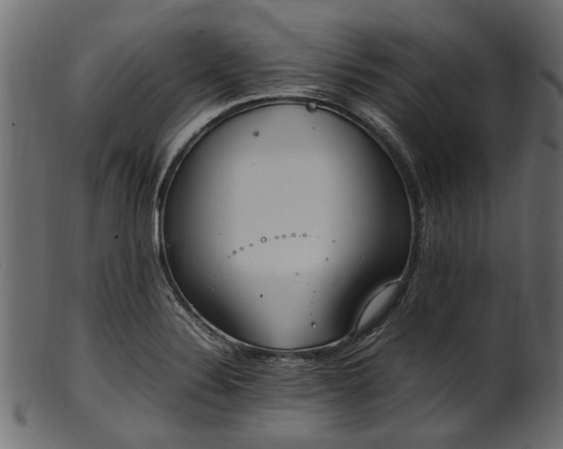 X0000102031324200807181340