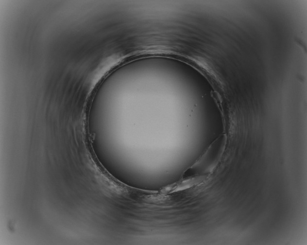 X0000102031325200807181340