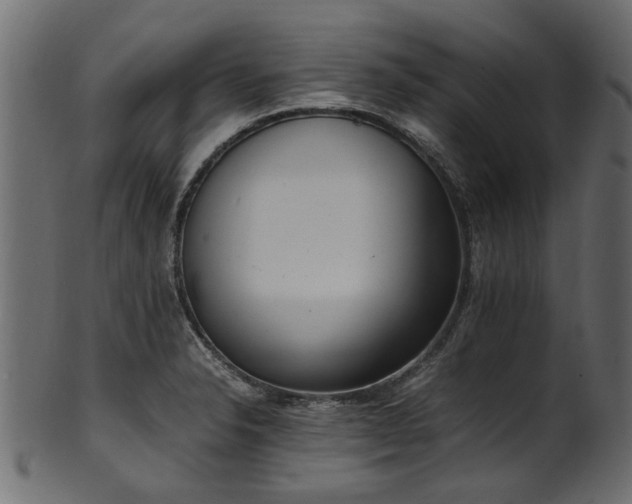 X0000102031326200807181340