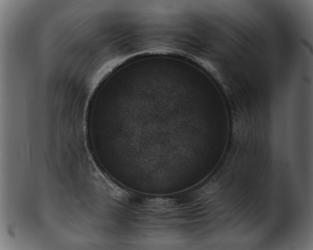 X0000102031327200807181340