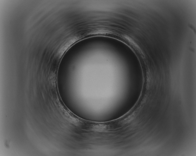 X0000102031329200807181340