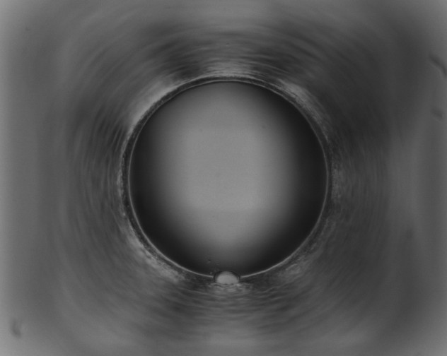 X0000102031331200807181340