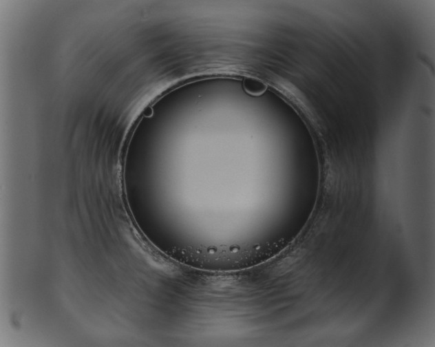 X0000102031332200807181340