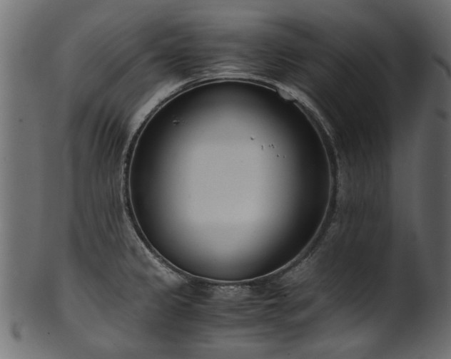 X0000102031333200807181340