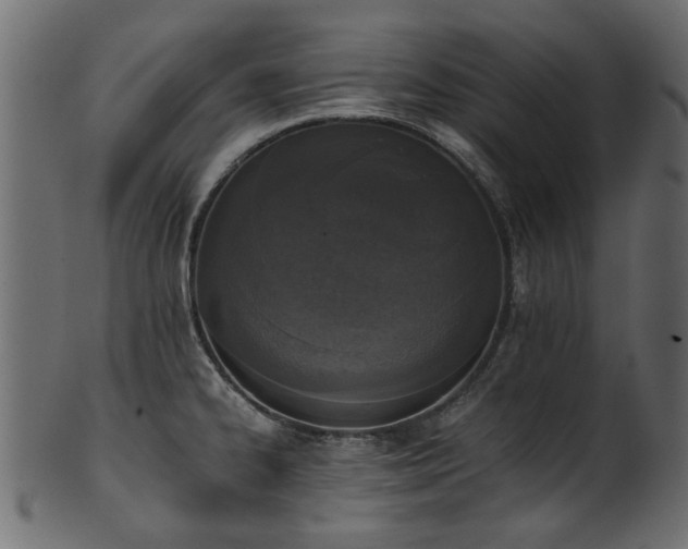 X0000102031334200807181340