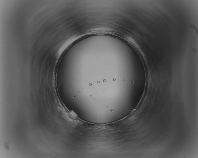 X0000102031336200807181340