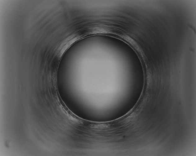 X0000102031337200807181341