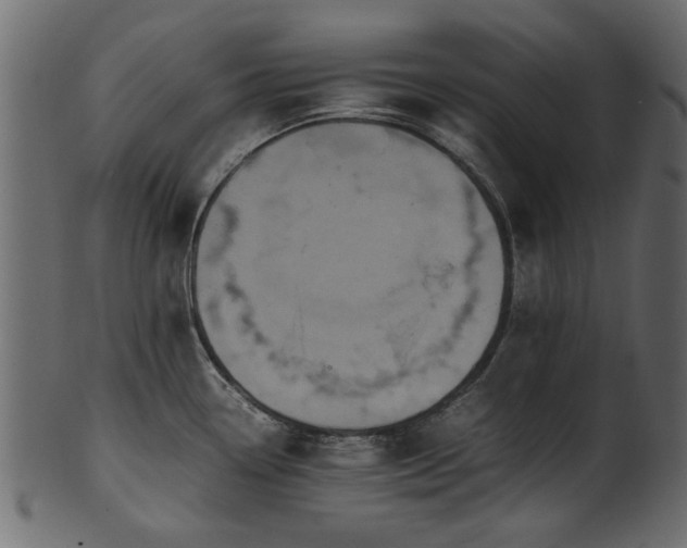 X0000102031338200807181341