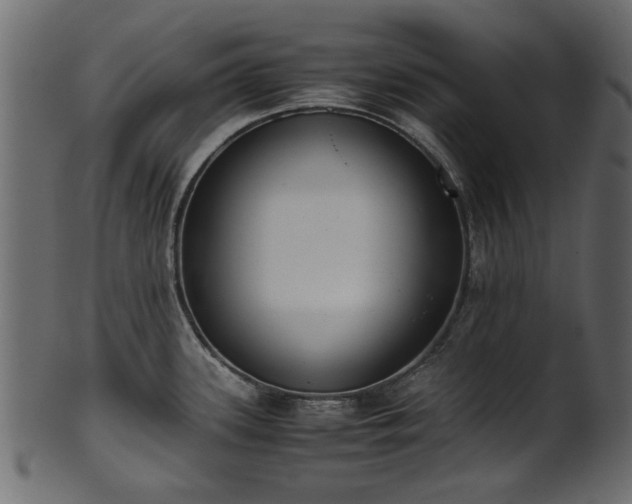 X0000102031339200807181341