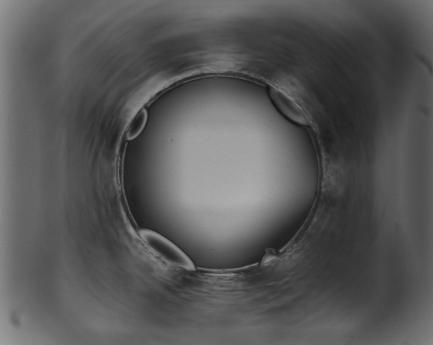 X0000102031342200807181341