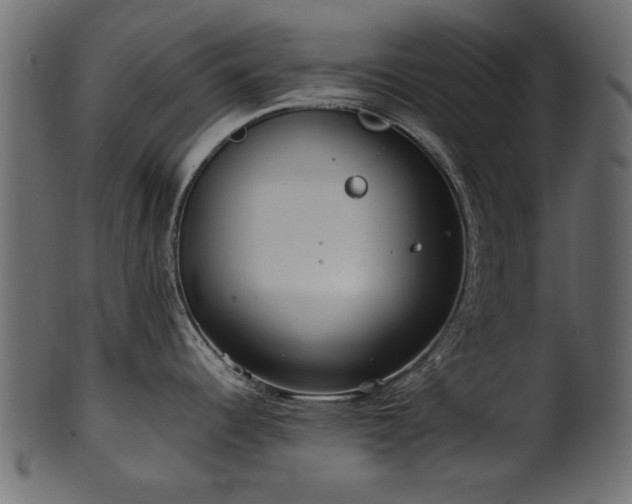 X0000102031344200807181341