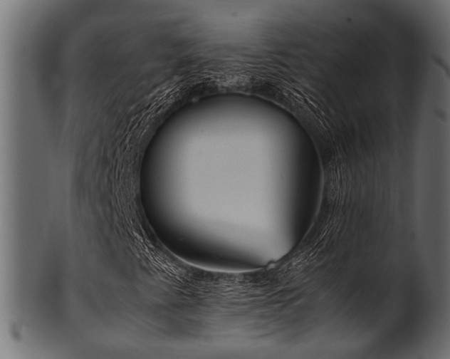 X0000102031345200807181340