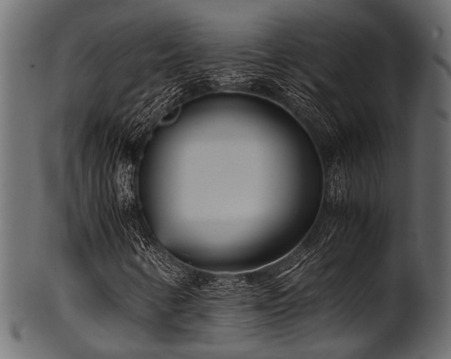 X0000102031346200807181340