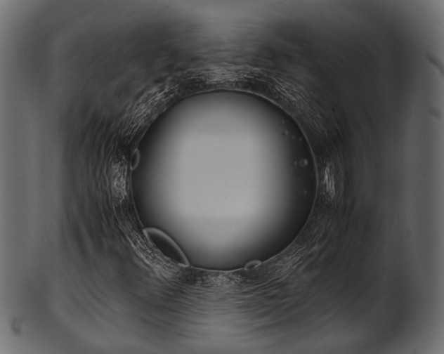 X0000102031348200807181340