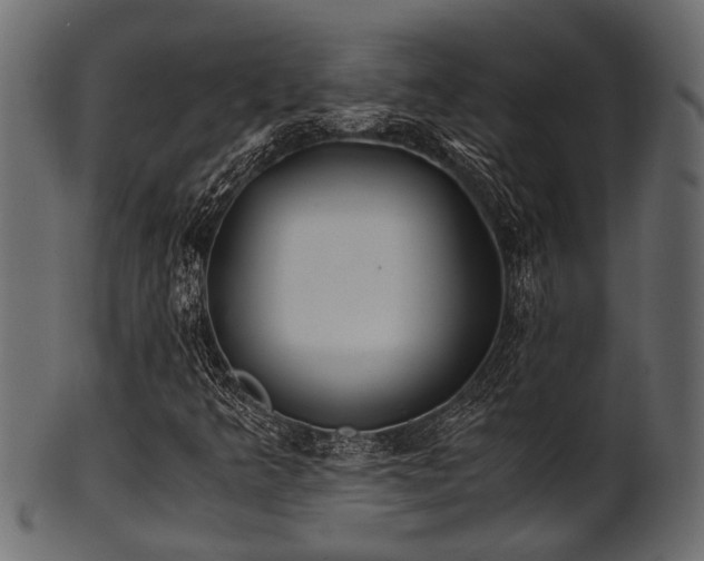 X0000102031349200807181340