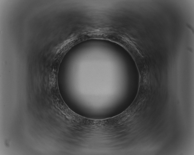 X0000102031350200807181340