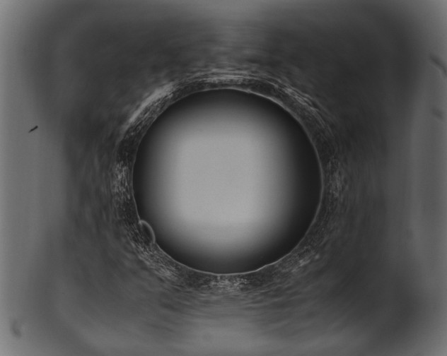 X0000102031351200807181340