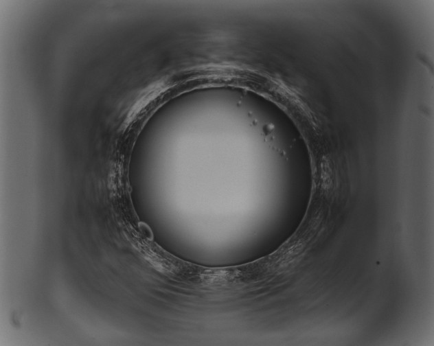 X0000102031352200807181340