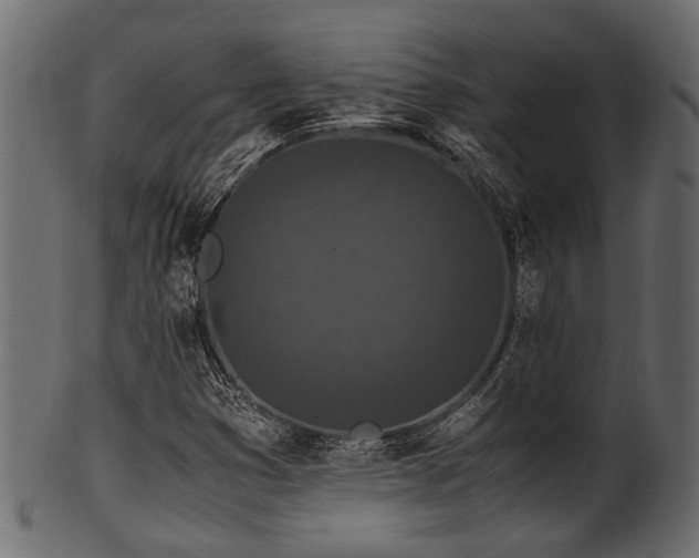 X0000102031353200807181340