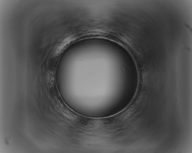 X0000102031355200807181340