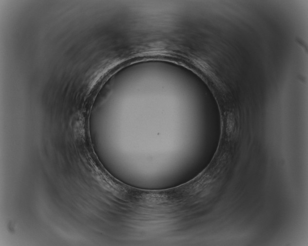 X0000102031356200807181340