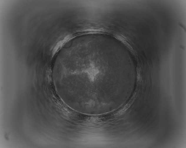 X0000102031357200807181340