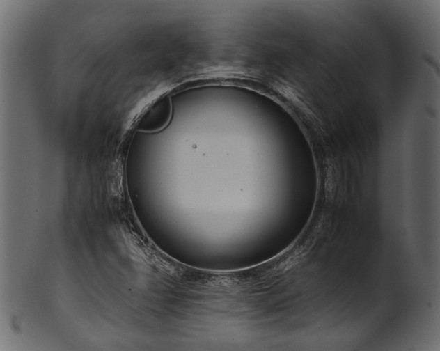 X0000102031358200807181340