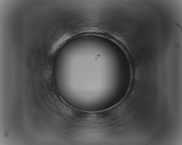 X0000102031359200807181340