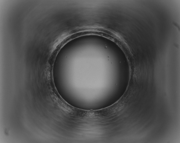 X0000102031360200807181340