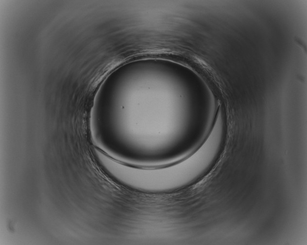 X0000102031361200807181340