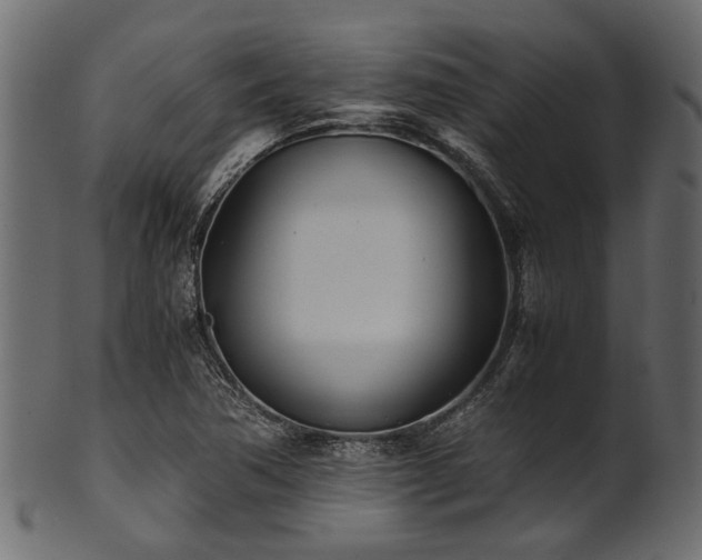 X0000102031362200807181340