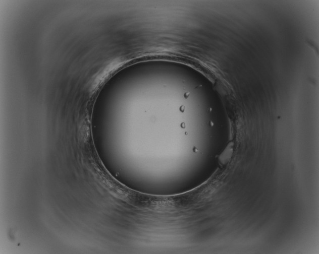 X0000102031363200807181340