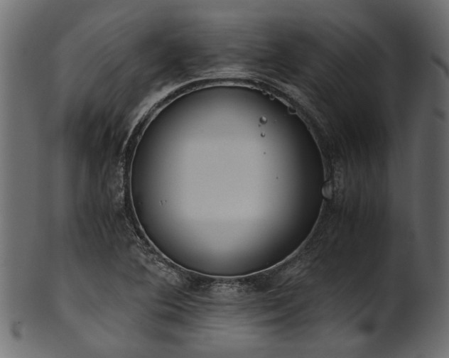 X0000102031364200807181340