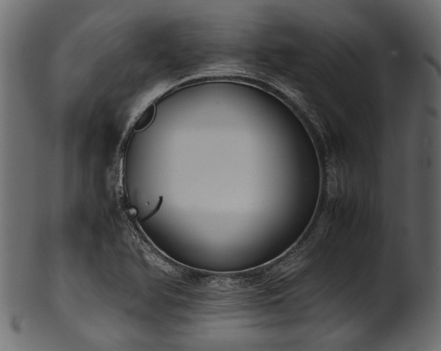 X0000102031366200807181340