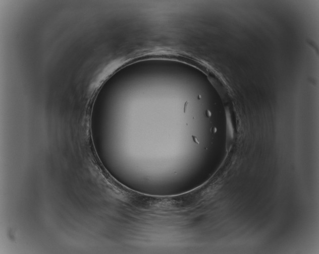 X0000102031367200807181340