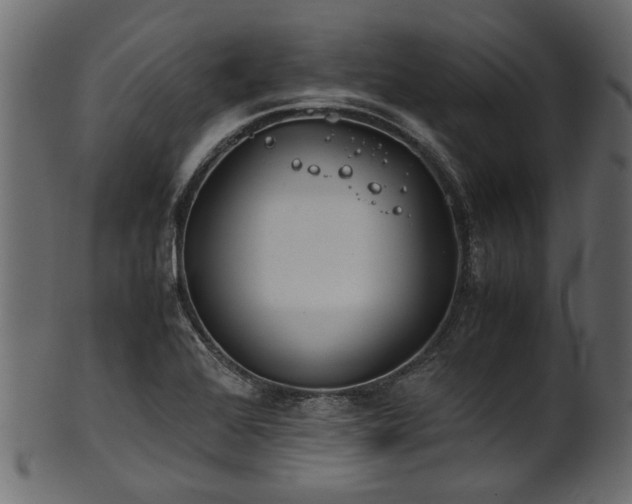 X0000102031368200807181340