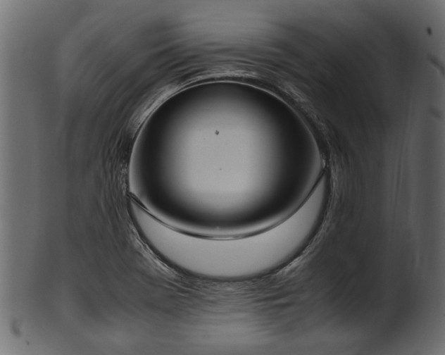 X0000102031369200807181340