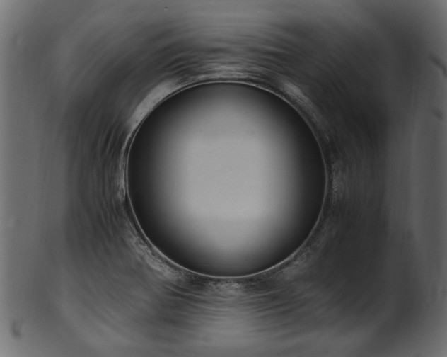 X0000102031370200807181339